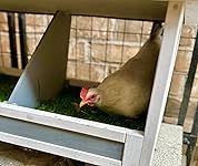 Review Image by Bryan Bryan