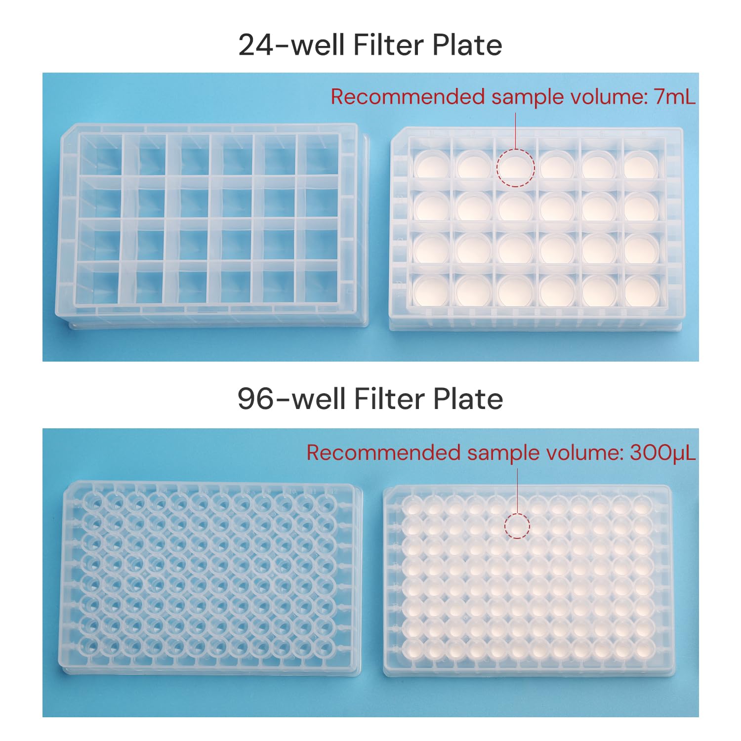 24-Well Filter Plate, 0.2μm PES Membrane, Used for Laboratory Vacuum Filtration, Positive Pressure Filtration, Centrifugation, Individually Wrapped (Pack of 1)