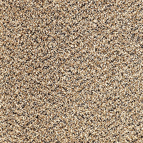 Eclipse with Cushion