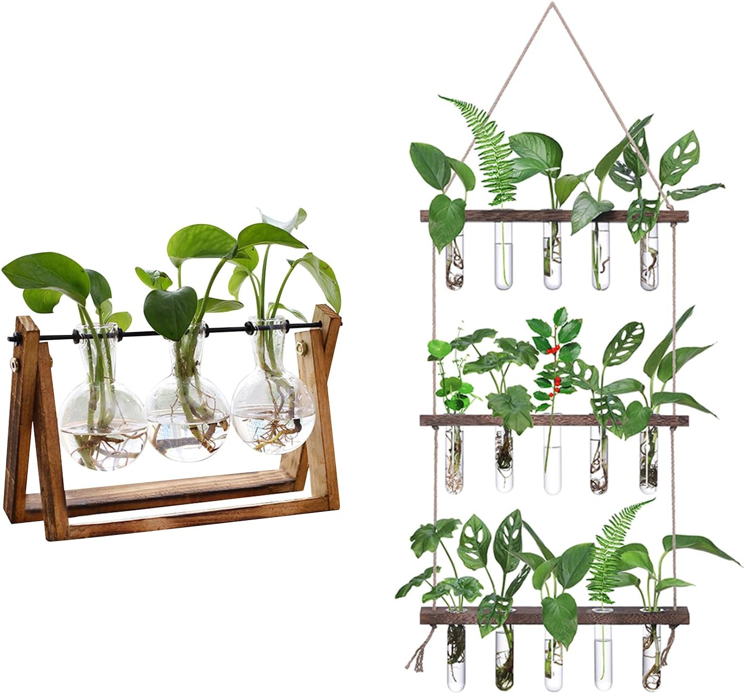 XXXFLOWERPlant Terrarium+ Wall Hanging Propagation Station