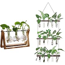 FLOWER Plant Terrarium+ Wall Hanging Propagation Station