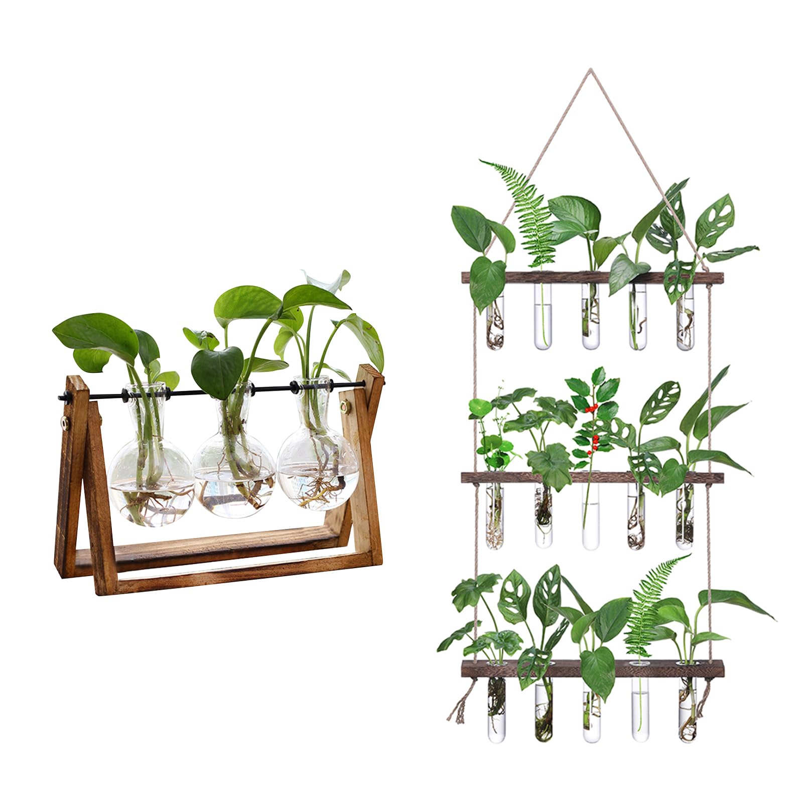 XXXFLOWERPlant Terrarium+ Wall Hanging Propagation Station
