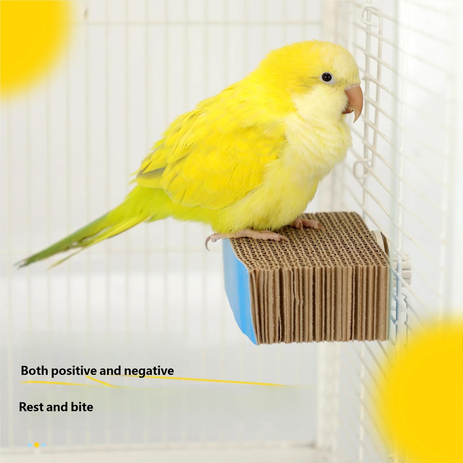 Vogelsitzstangen Plattform aus Wellpappe, sicherer Ständer für Sittiche, Nymphensittiche, Papageien, Käfigzubehör, Vogelübungsspielzeug, Sitzstangenständer