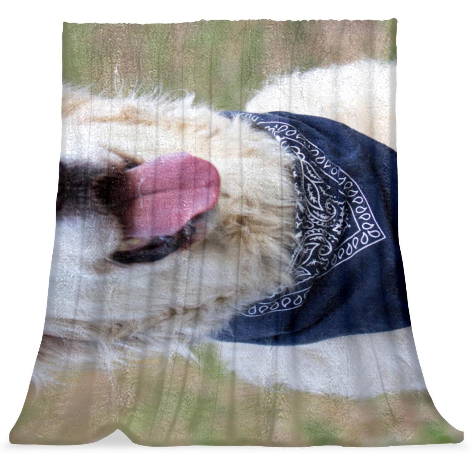 TBOUOBT Couverture Polaire de literie, décorative pour Le Sol du canapé de la Chambre,Golden Retriever Animal Chien Pet