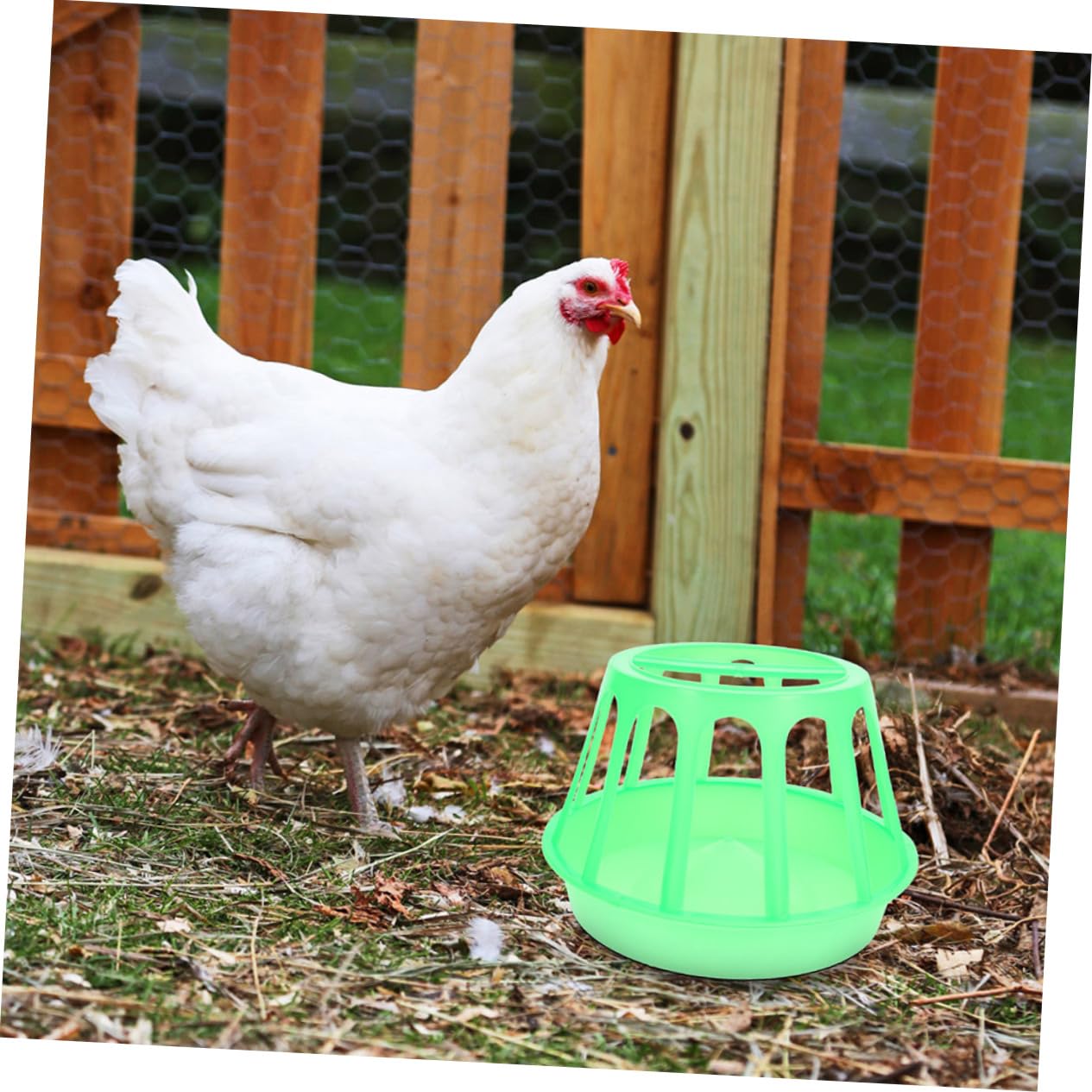 2pezzi Mangiatoia Per Pollame Per Alimenti Design Per e Galline Facile Installare e Stabile Allevamenti Domestici