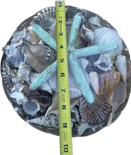 carga de olokun cesta de caracoles carga de olokun santeria religion ifa olokun osha elegua yemaya oshun disponible en Yaxa Colombia