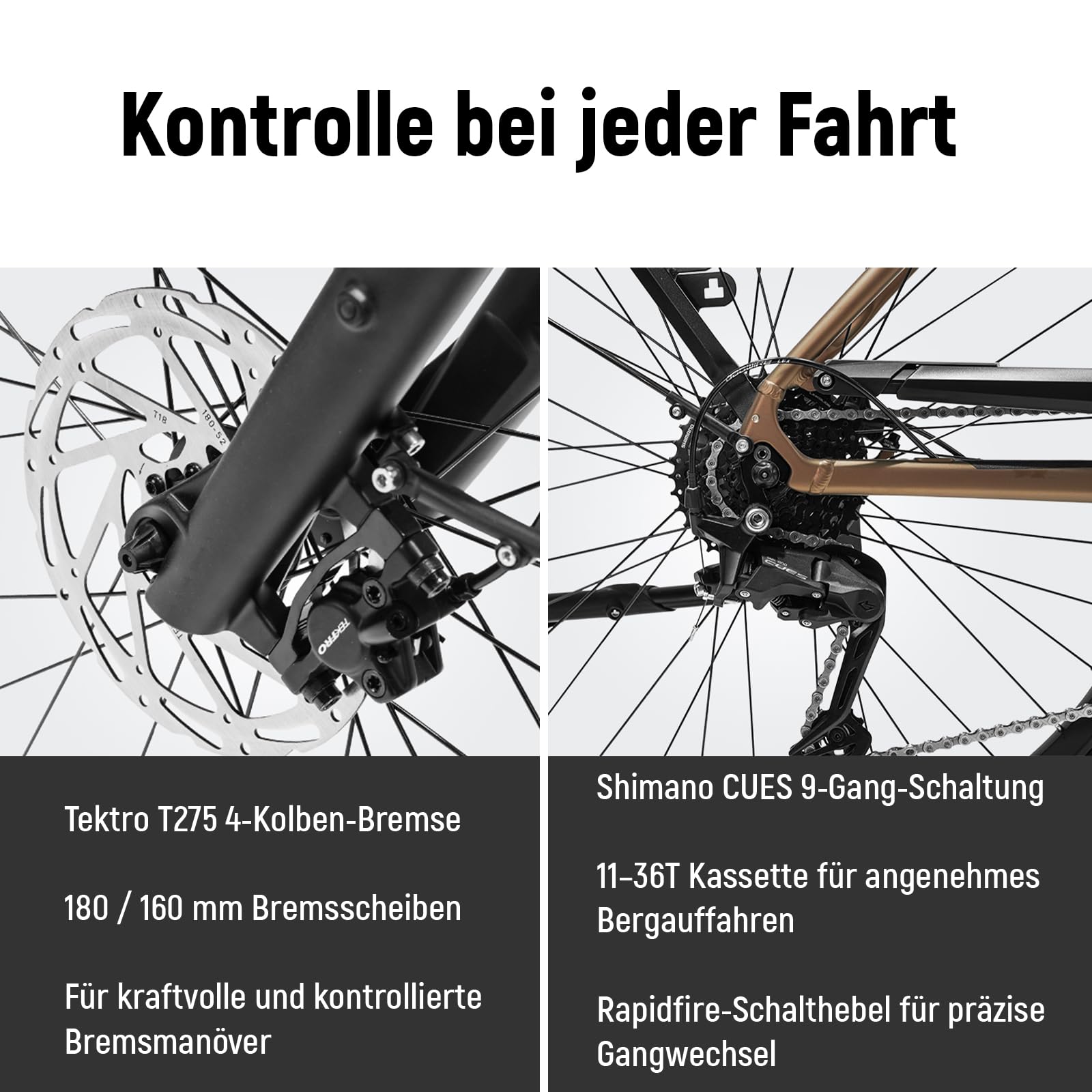 DERUIZ Quartz Pro E-Bike 28", motore centrale da 250 W, sensore di coppia