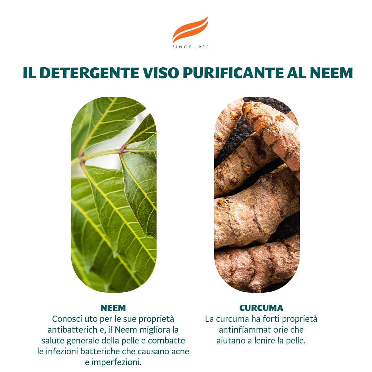 HIMALAYA HERBALS Neem Gel detergente viso purificante al Neem, 2 unità x 150 ml, l'imballaggio può variare