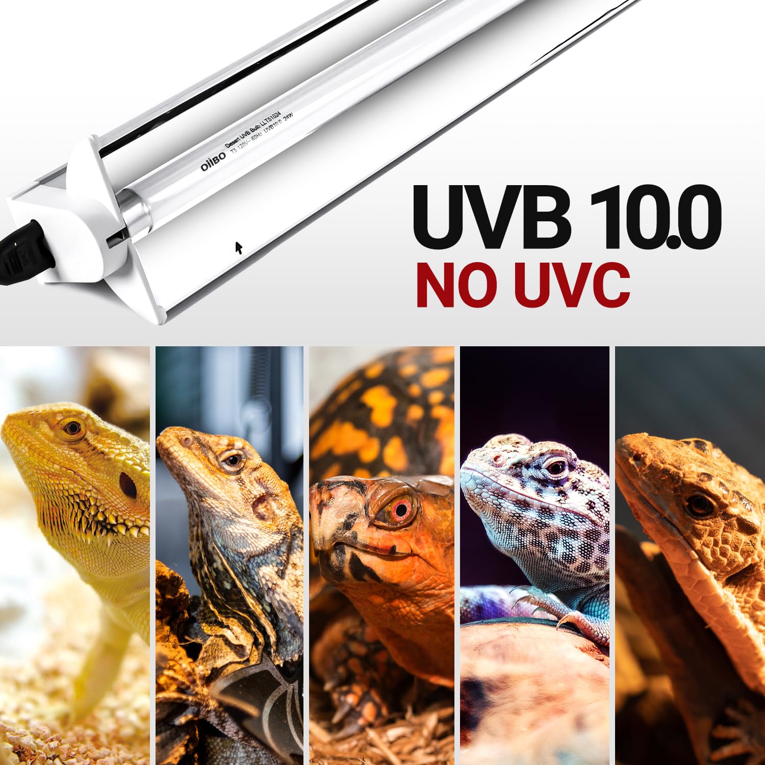 Uvb Light For Reptiles Reptile T5 UVB Lighting Combo Kit, Reptile