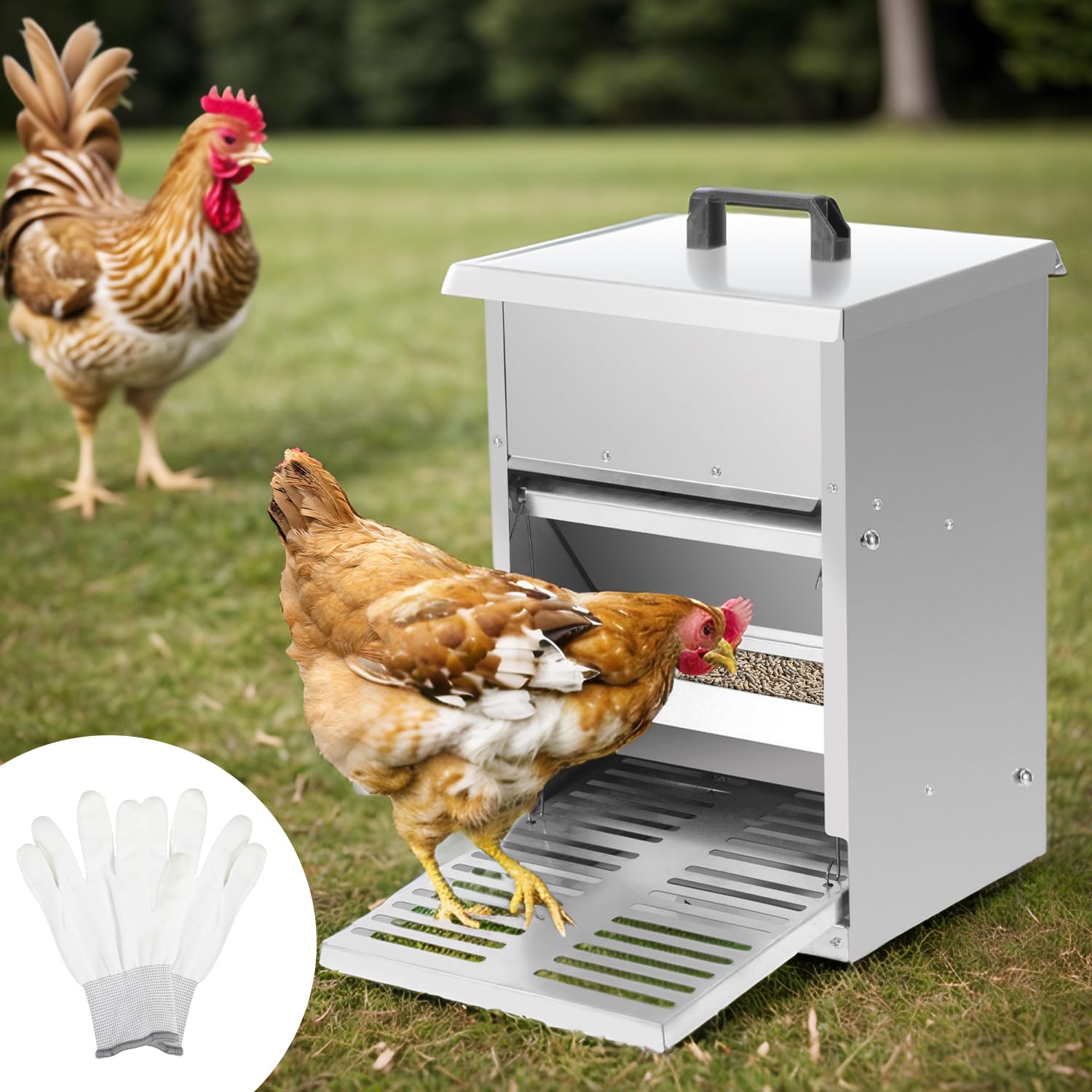 Comedero automático para gallinas, 5 kg, con pedal automático, alimento para pollos para aves de corral, accesorio ideal para pollos, resistente al agua y a prueba de ratas, galvanizado