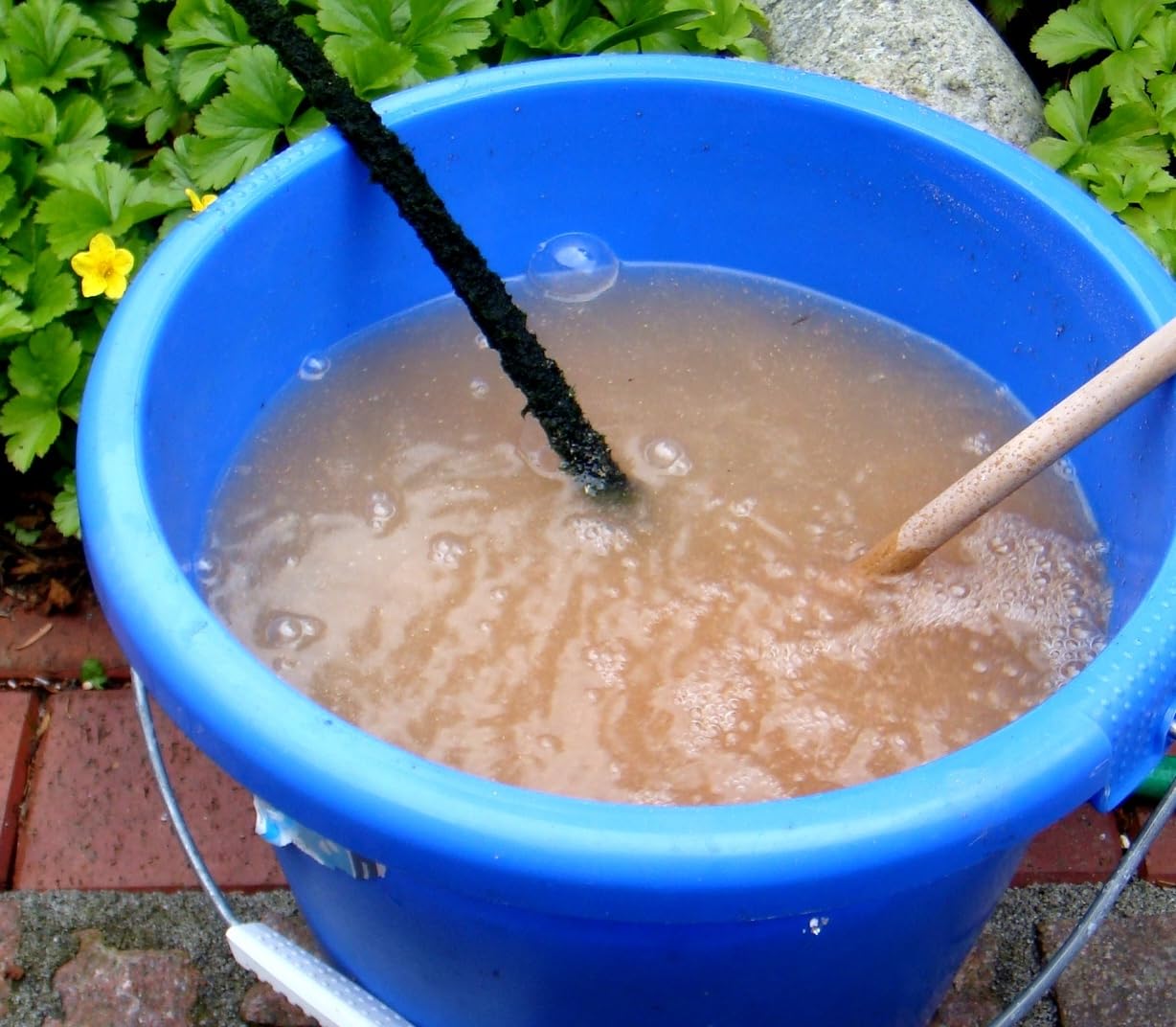 Aqua-5 Dry Hochkonzentrierte Teich & Filterbaktieren 280 g | Für Koiteich, Gartenteich, Schwimmteich, Aquarium für klares Wasser + Einer biologischen Filterung ausreichend bis zu 150.000 L Maxi-Dose