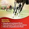 Equitop Gonex granules for horses 750g