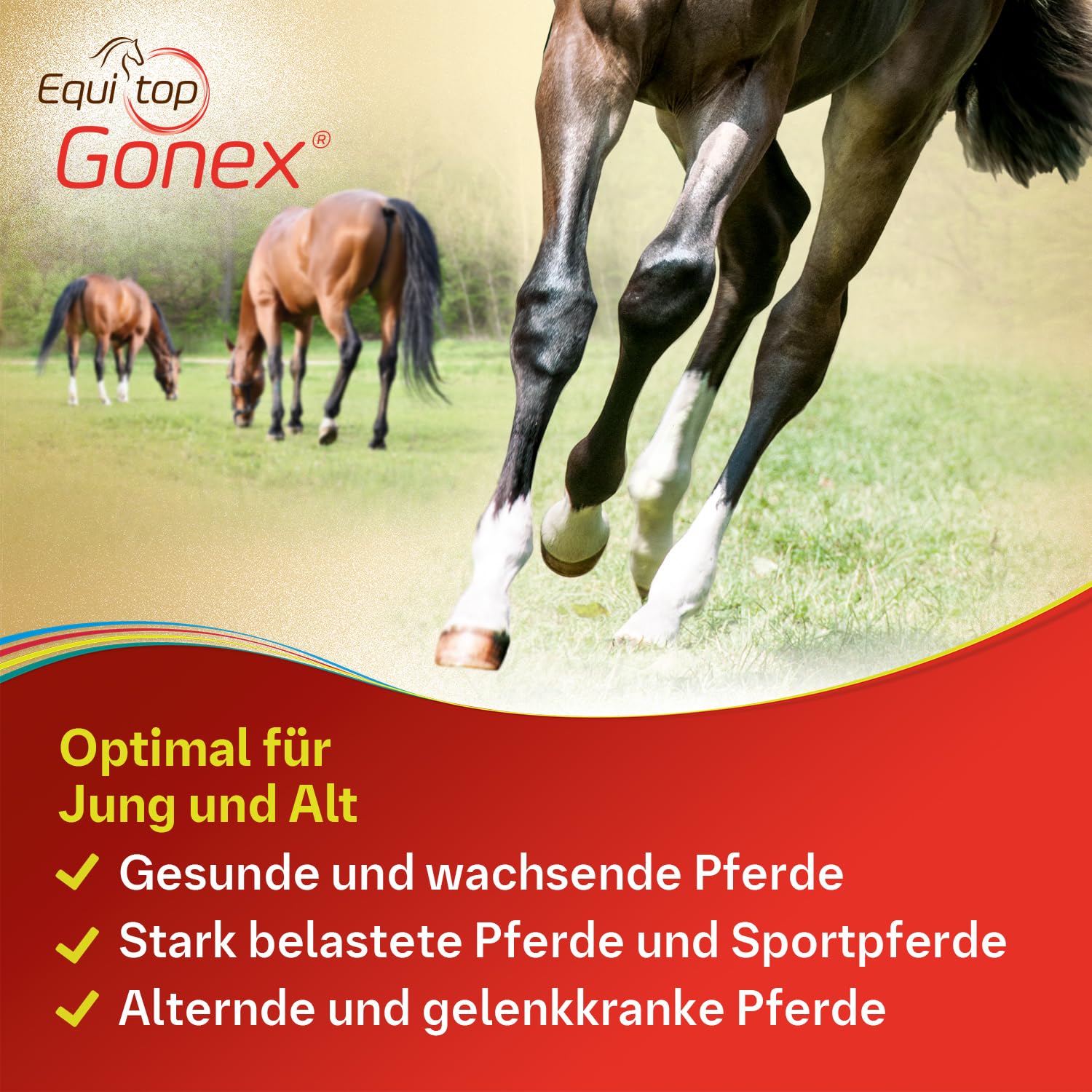 EQUITOP Gonex Granulat Vet.