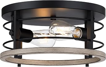 2-Light Black Modern Industrial Round Flush Mount Ceiling Light Fixture for Indoor/Outdoor, Kitchen, Bedroom, Living Room, 11.8 x 11.8 x 6.08 inches