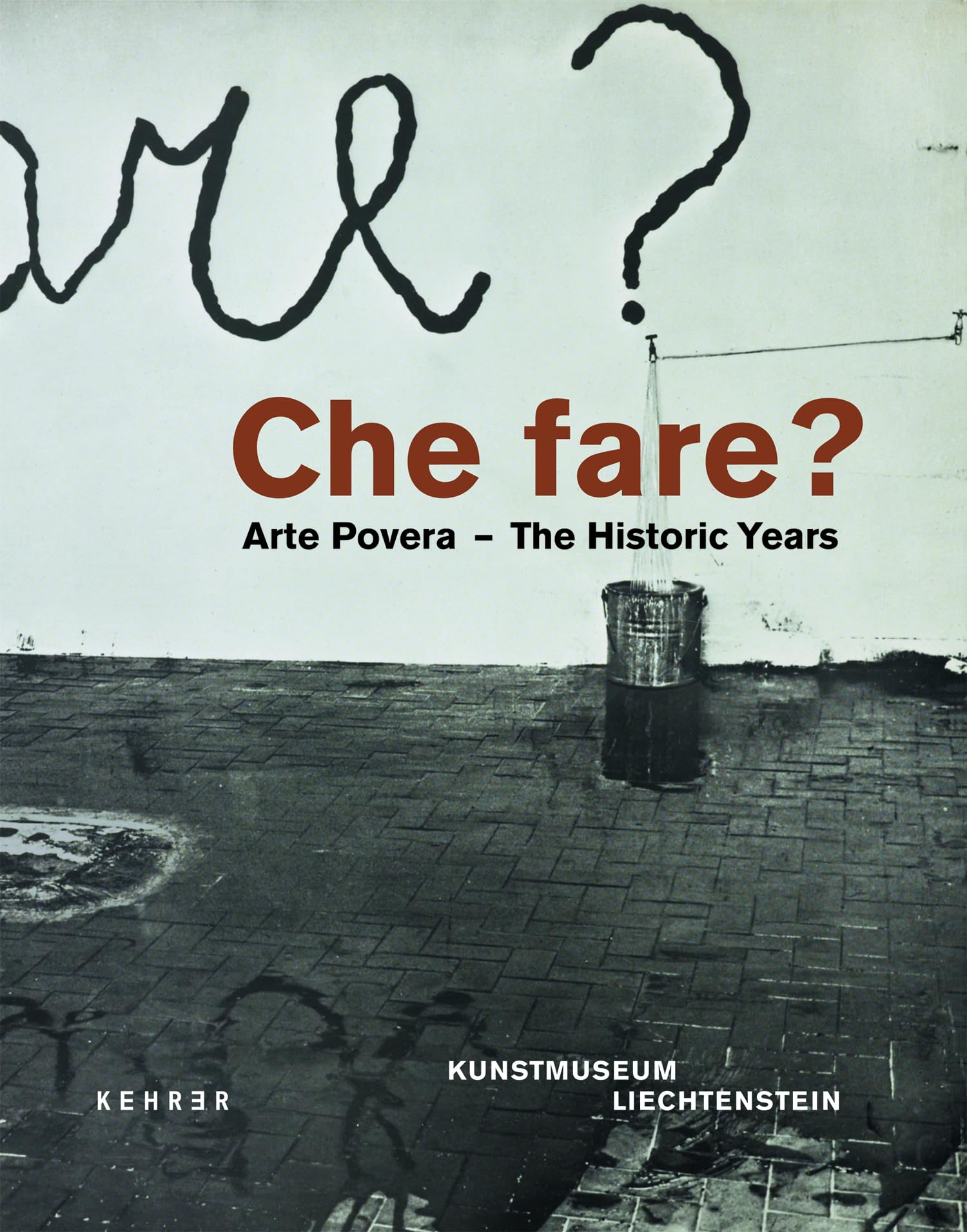Che fare?: Arte Povera : The Historic Years Hardcover – June 21, 2011