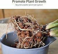 Vista 6 de GASPRO 5lb de bolas de arcilla expandida orgánicas para plantas, 100% naturales, bolas Leca para el desarrollo de raíces en macetas, mezcla