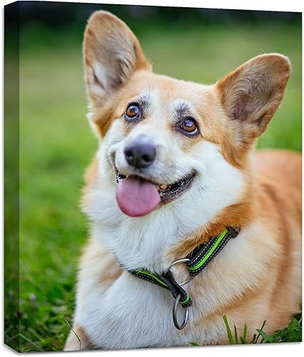 Anjiefo Impresiones en lienzo personalizadas con tu foto, lienzo personalizado para pared, imprime tus fotos en lienzo, regalos para familiares,