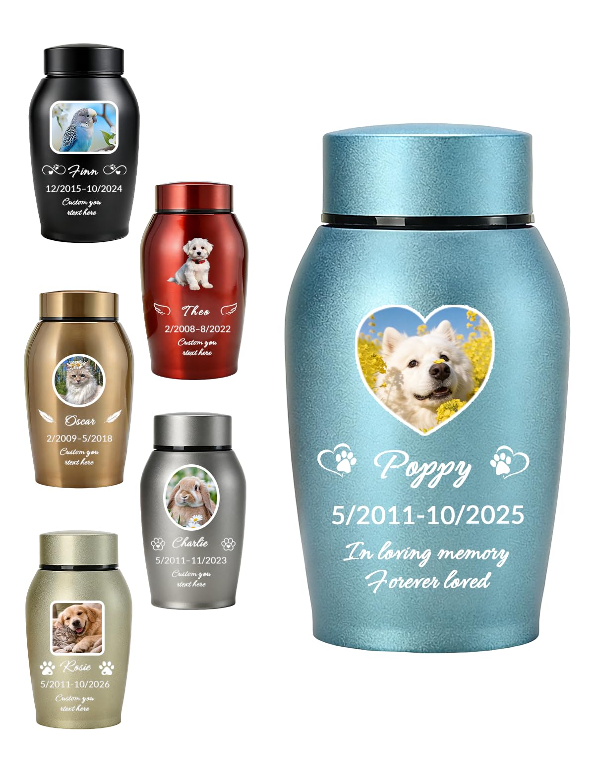 Iwe Personalised Pet Urns for Dog Ashes – Custom Dog Urns for Ashes with Name Photo, Small Urns for Ashes Pet Loss Memorial Keepsake (Blue)