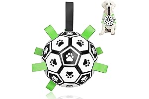 Paw Kick Soccer Ball for Dogs