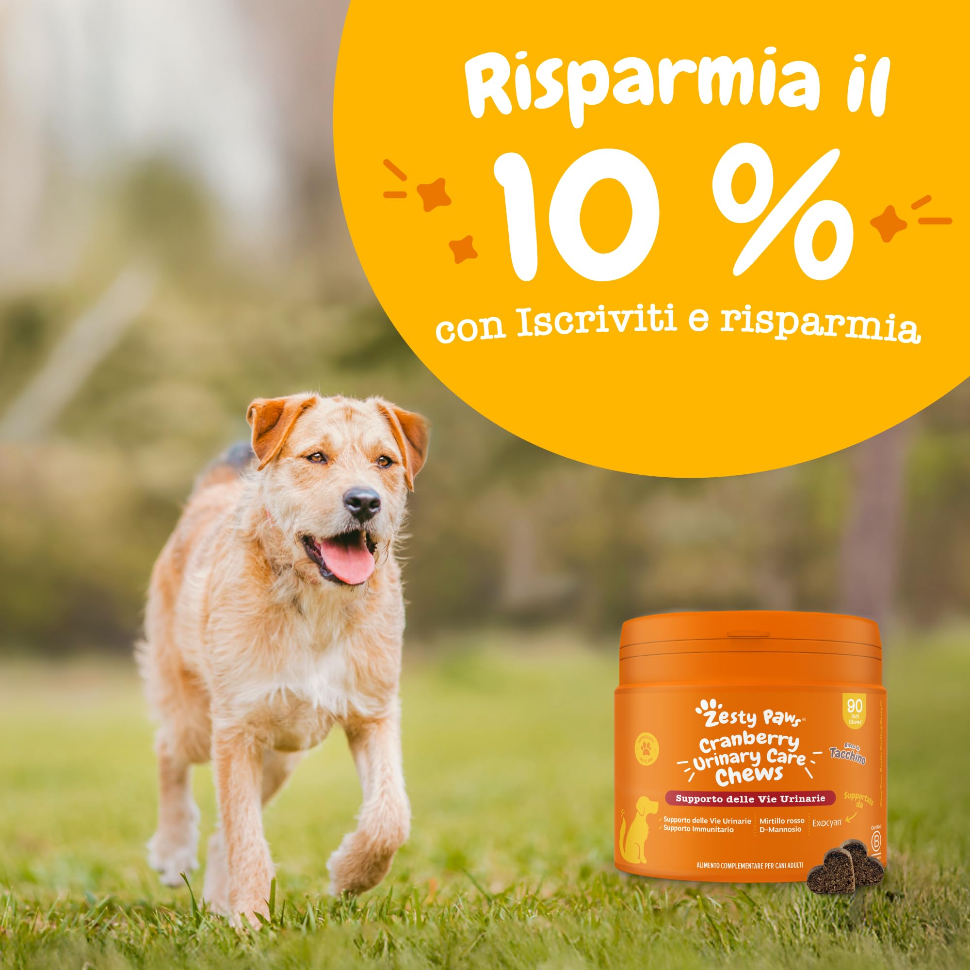 Zesty Paws Cranberry Urinary Care | Supporto delle Vie Urinarie | Integratori per Cani | D-mannosio, vitamina B6 e Exocyan | Alimento Complementare per Cani Adulti | Gusto Tacchino | 90 Pezzi