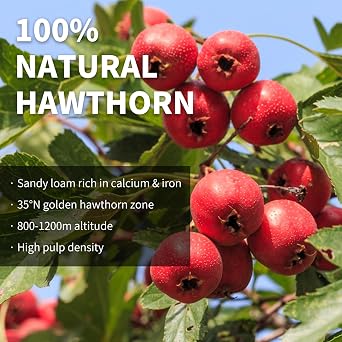 Wanhua Hall Dried Hawthorn Fruit Tea 7.06oz/200g Premium Seedless Hawthorn Berries Hawthorn Slices Fruit Tea