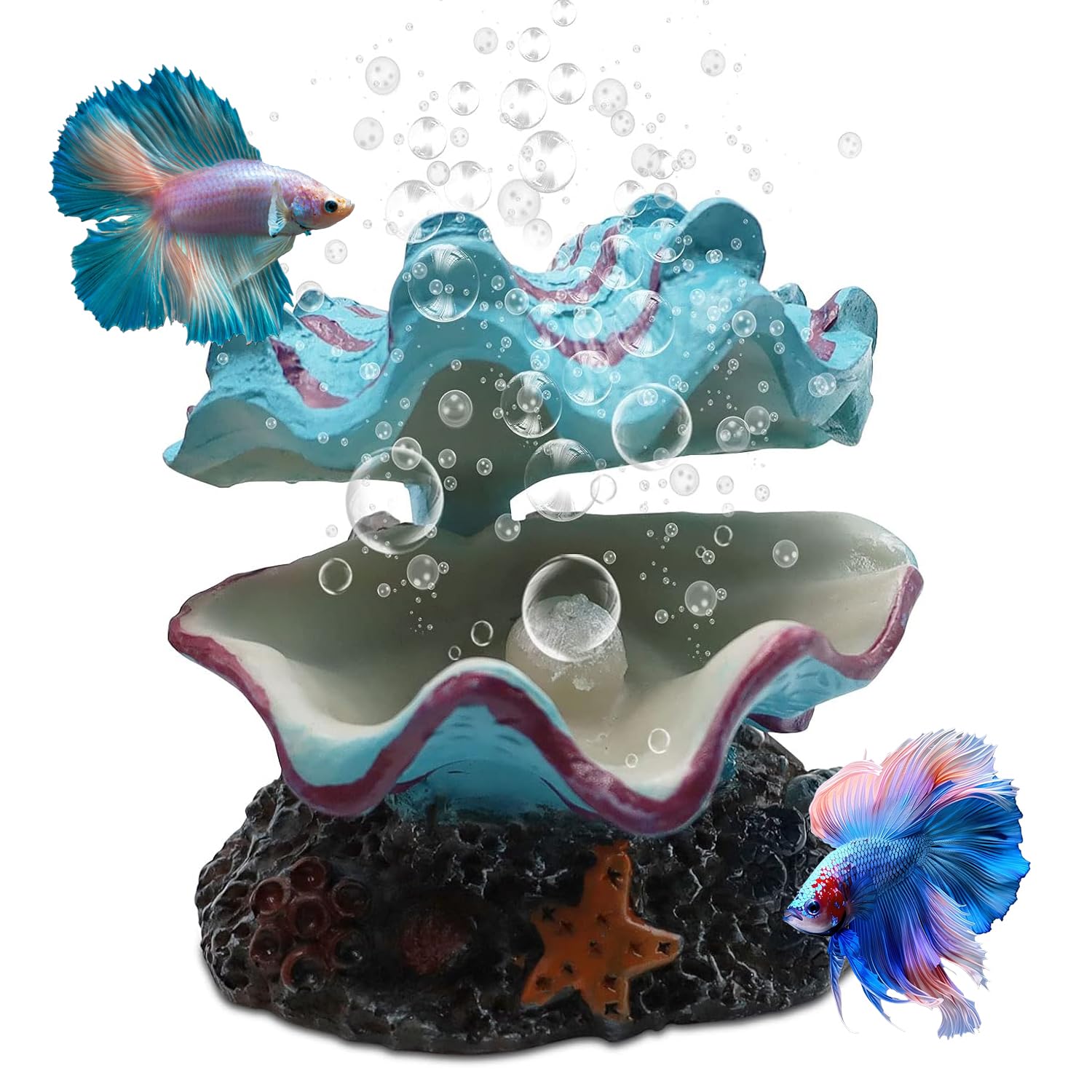 Abnaok Aquarium Shell Decoration, Tropical Clam Live-Action Ornament, for Fish Tank Aerating, Aquarium Oxygenated