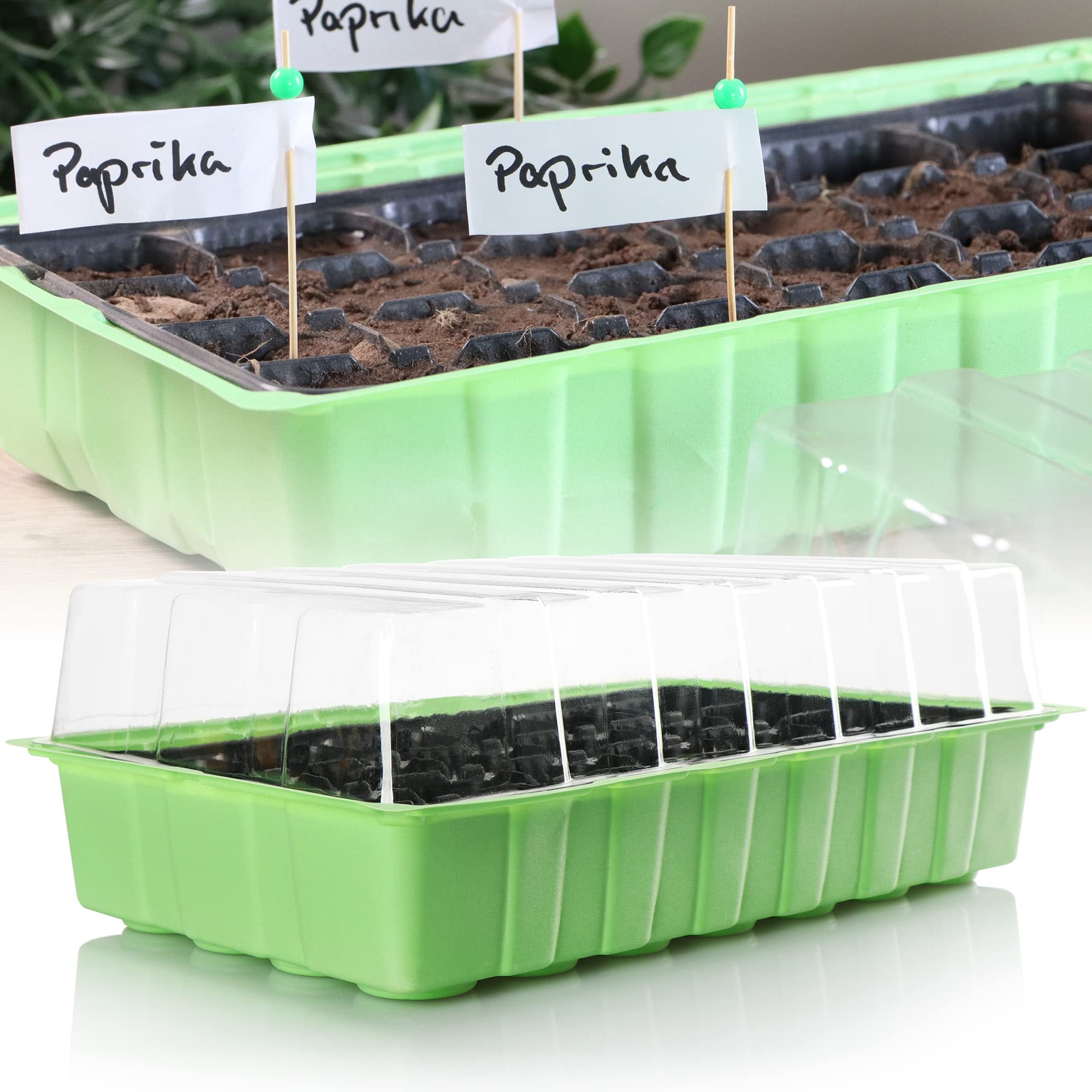 Meister 9968270 Vasi Da Coltivazione, 4 X 4 Cm, Set Da 96 Pezzi, 100% Senza Torba In Cellulosa Certificata PEFC - Biodegradabile, Marrone