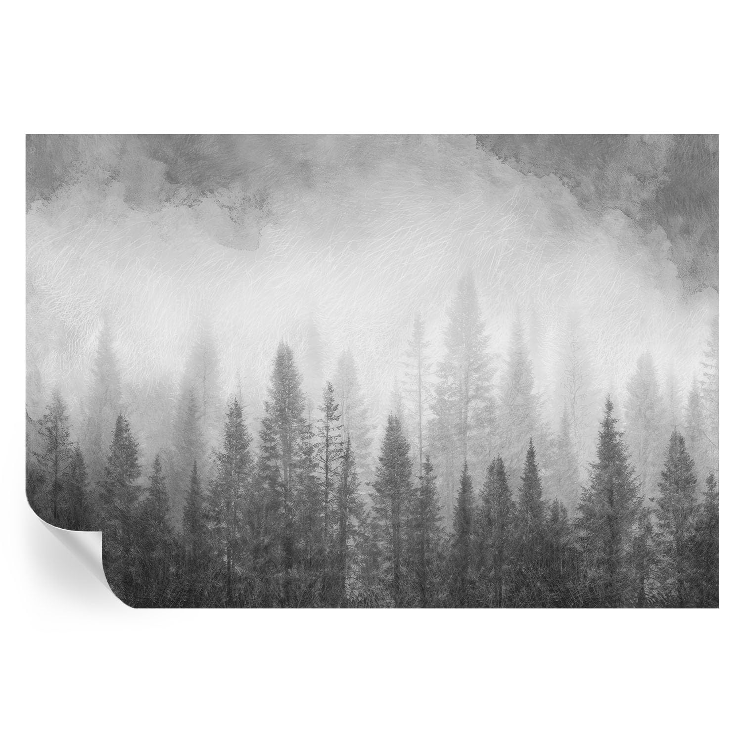 Cubiertas de niebla forestal autoadhesivas para tapar imperfecciones de pared