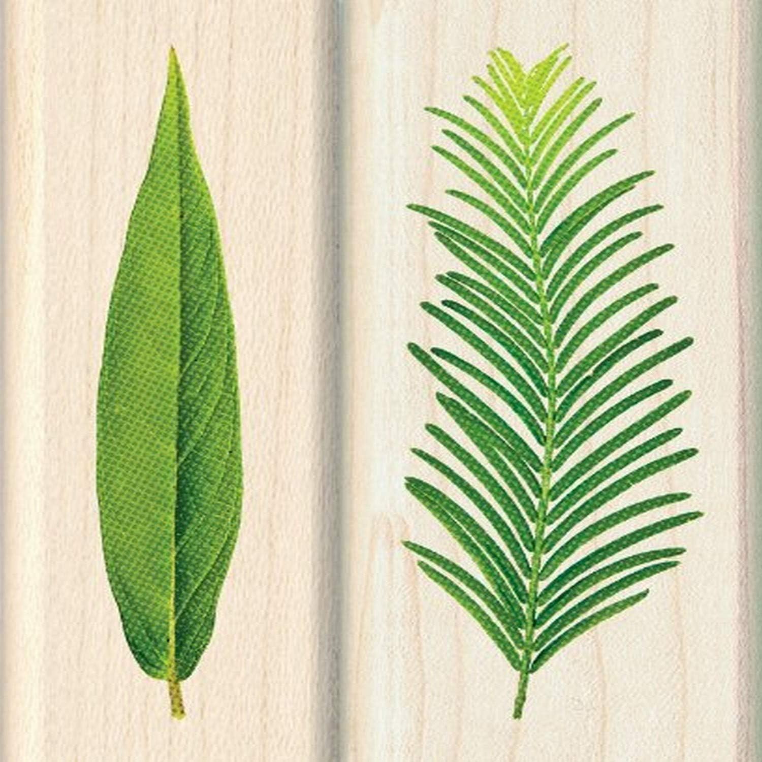 Leaf Wood Stamps for Arts and Crafts, 2pc, 2.75'' L x 1'' W and 1.25'' L x 2.75'' W
