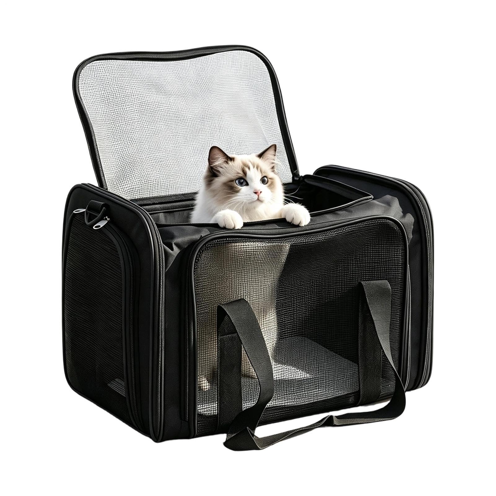Trasportino laterale per cani, borsa esterna per animali domestici, con