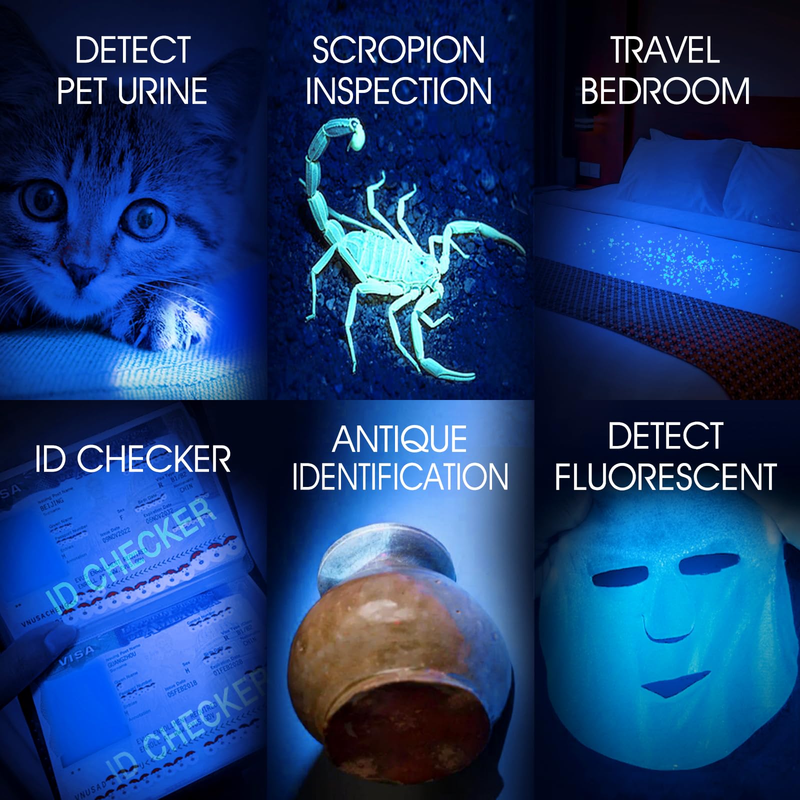Linterna UV recargable por USB, luz negra de 365 nm (paquete de 3), mini y potente linterna ultravioleta detector portátil para orina de mascotas, manchas de gato y perro, escorpión, chinches