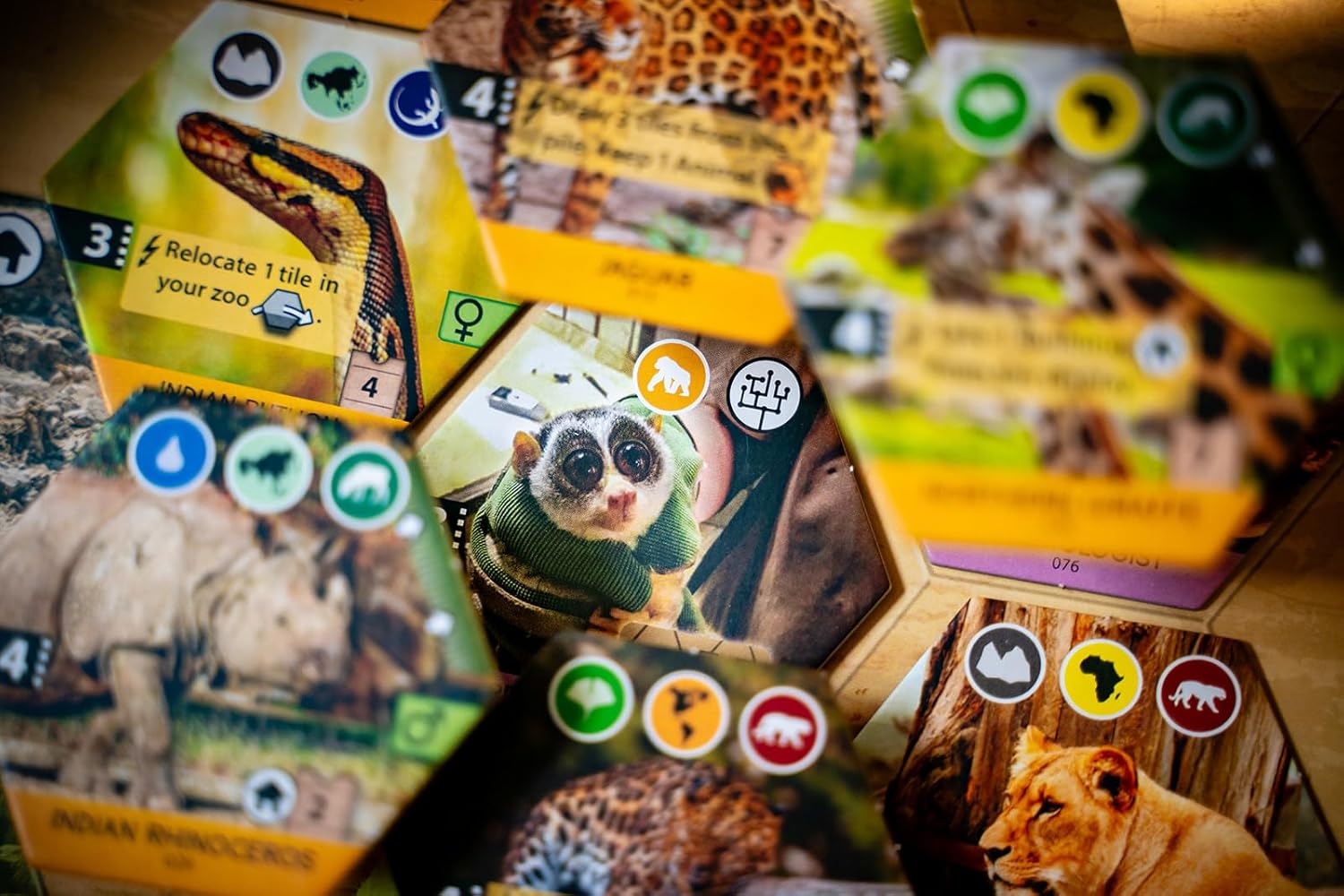 Capstone Games Sanctuary Board Game – Strategy Tile Drafting Game for 1-5 Players, Animal Themed Zoo Simulation, Hand Management, Perfect for Adults & Family Game Nights, Solo Play | 60-90 Minutes
