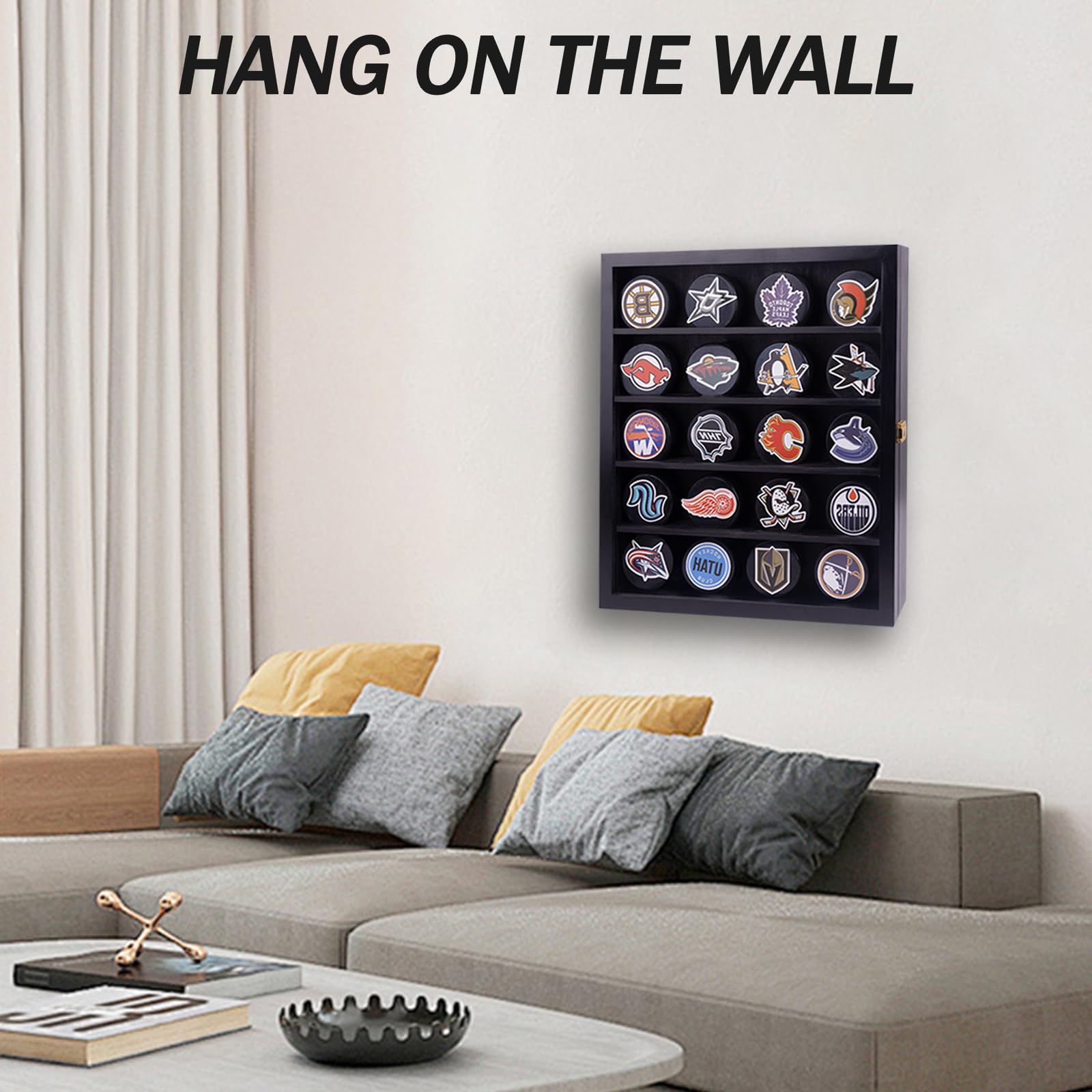 Hockey-Puck-Vitrine