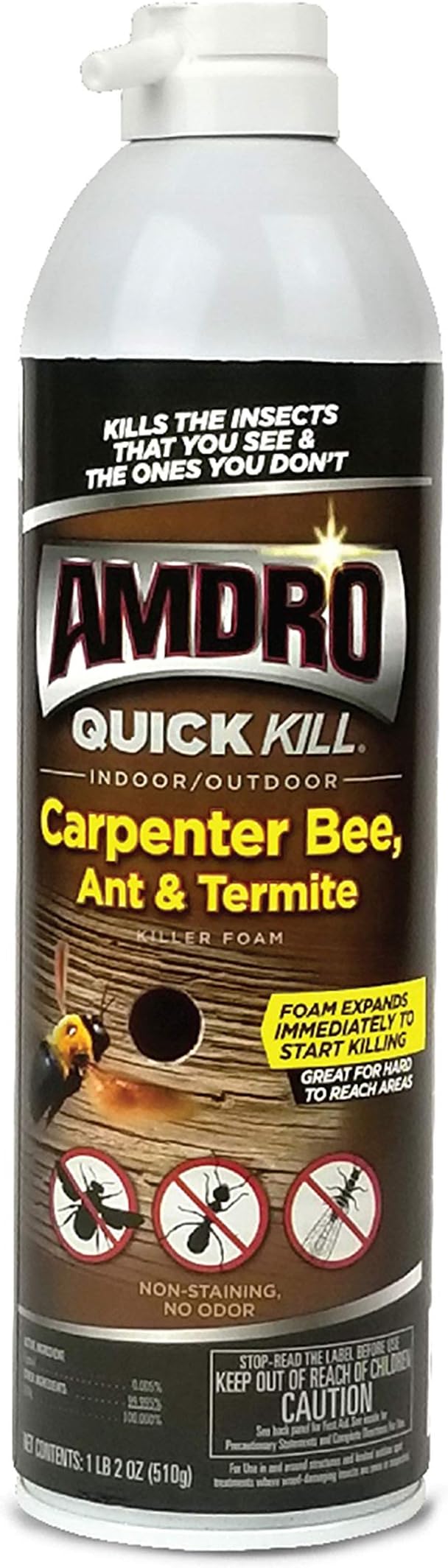 Amdro 100530435 Quick Kill Carpenter Bee, Ant, and Termite Killer Foam, 18 OZ