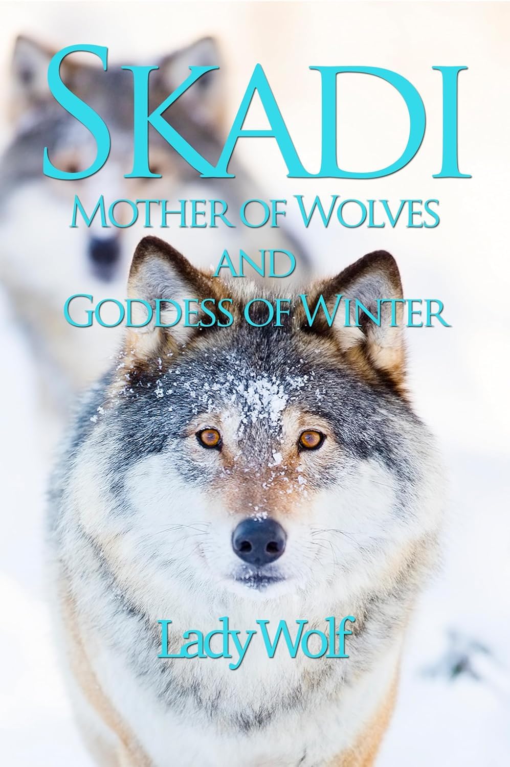 Skadi Mother of Wolves and Goddess of Winter by Lady Wolf (Paperback Book)