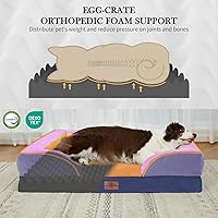 Vista 59 de Comfort Expression - Cama ortopédica para perros extragrandes, 53 x 42 pulgadas, cama impermeable y de apoyo de espuma con cojines removibles