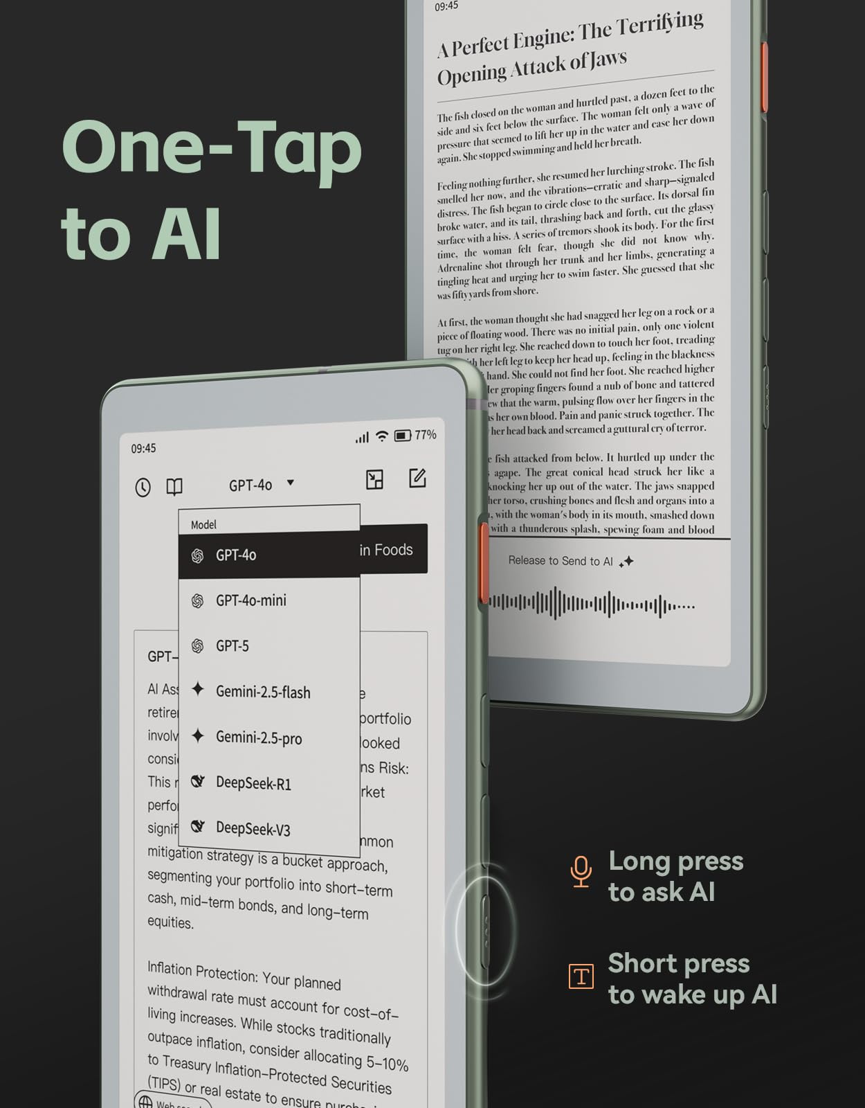 Amazon.com: VIWOODS 6.13'' AiPaper Reader C with Color Display, E