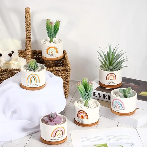 Vista 7 de Sieral 6 macetas de cerámica con bandeja de bambú para suculentas, regalo de agradecimiento, para compañeros de trabajo, empleados, veterinarios