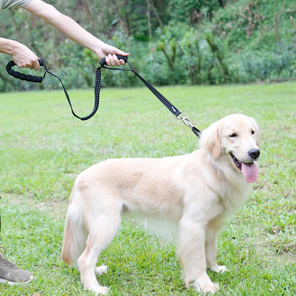 Guinzaglio per Cani Bungee, Guinzaglio per Animali Domestici Bungge Che Assorbe Gli Urti con 2 Maniglie di Controllo, Riflettente per Una Camminata Notturna più Sicura