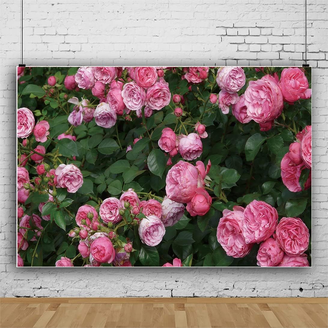 Amazon.com : 6x6Ft Flowers Theme Backdrops Pink Roses and Green Leaves ...