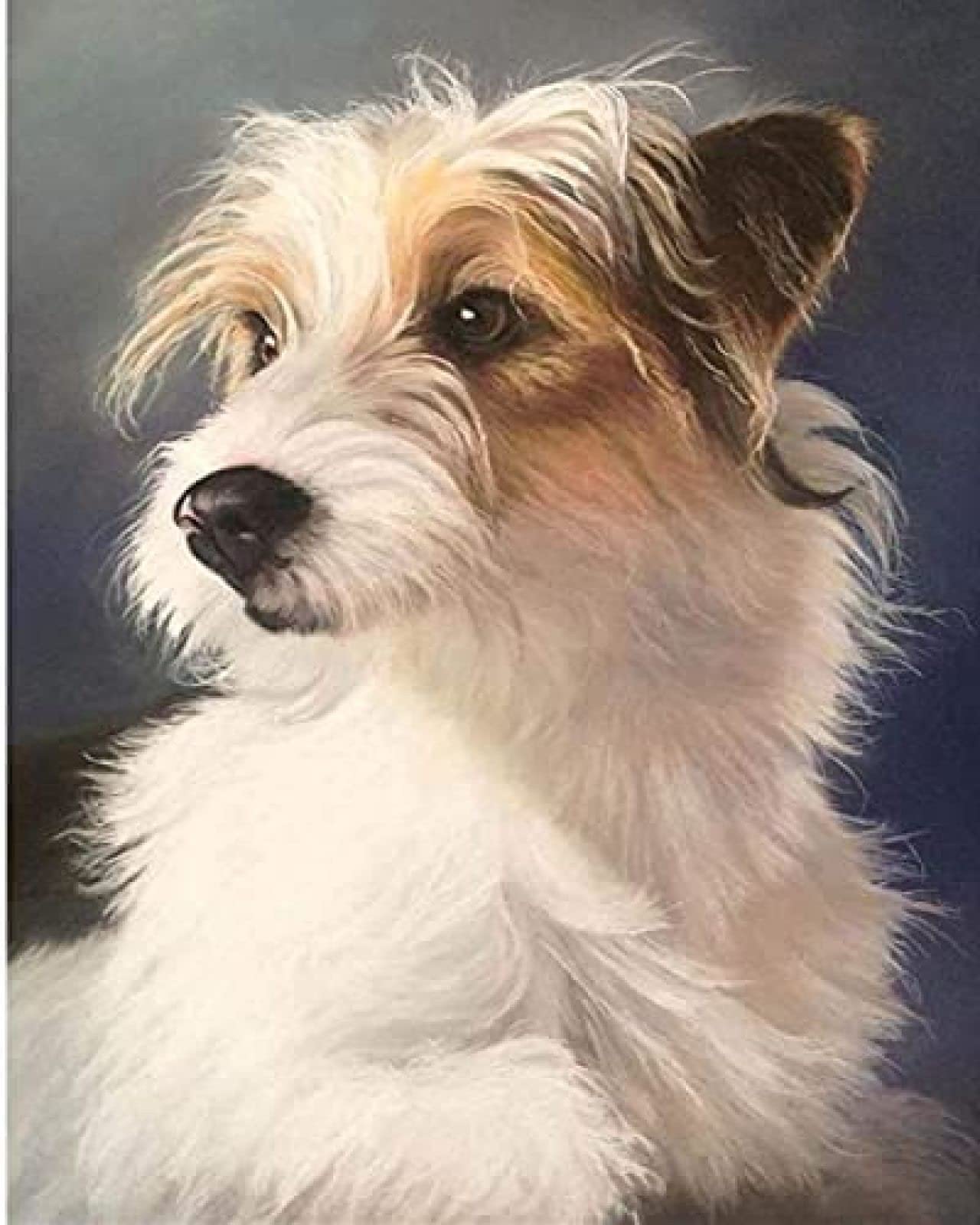 Znwrr Ka218 5D Diy Diamond Painting Cross Stitch Jack Russell Terrier Dog Crystal Drill Full Diamond Embroidery Kits Living Room Decoration 30X40cm