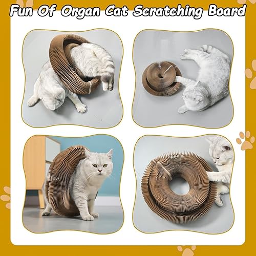 Miniatura 6 de Cat Ball Adventure, el mejor ejercicio físico y mental interactivo para gatos de interior