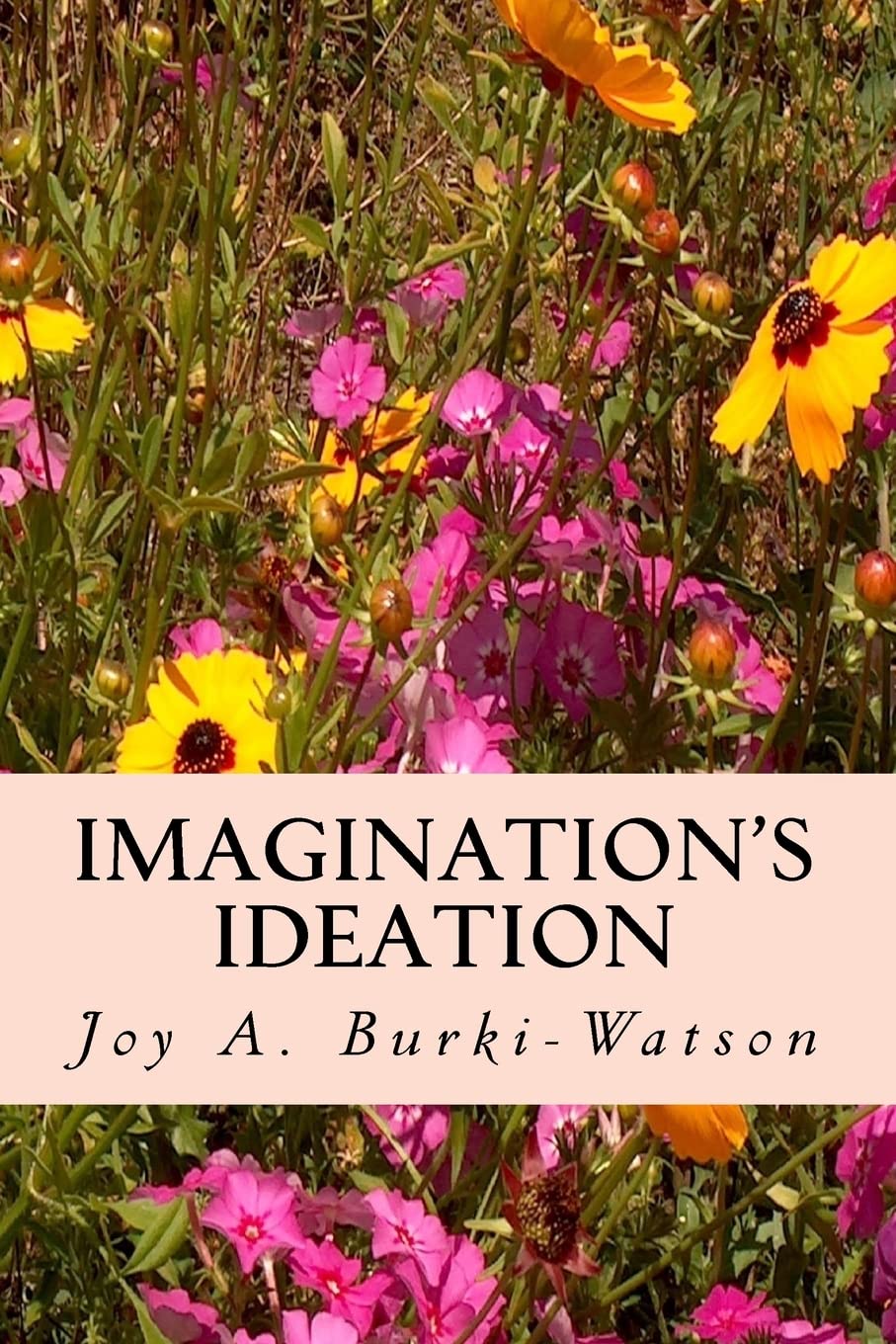 Joy A. Burki-watsonImagination's Ideation