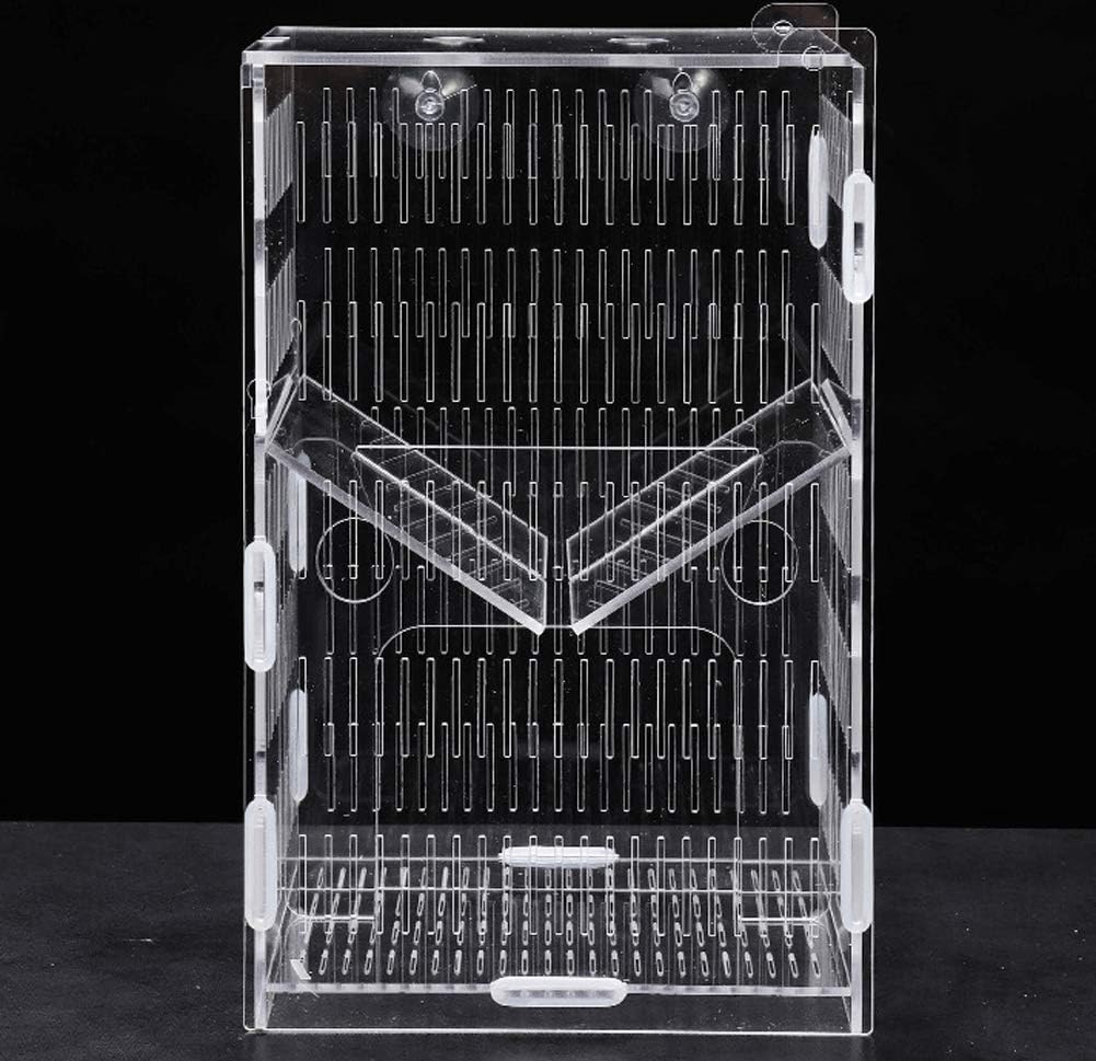 JIANGU Hatching Breeding Box - Acrylic Isolation Box, Fish Tank Fry Isolation Box