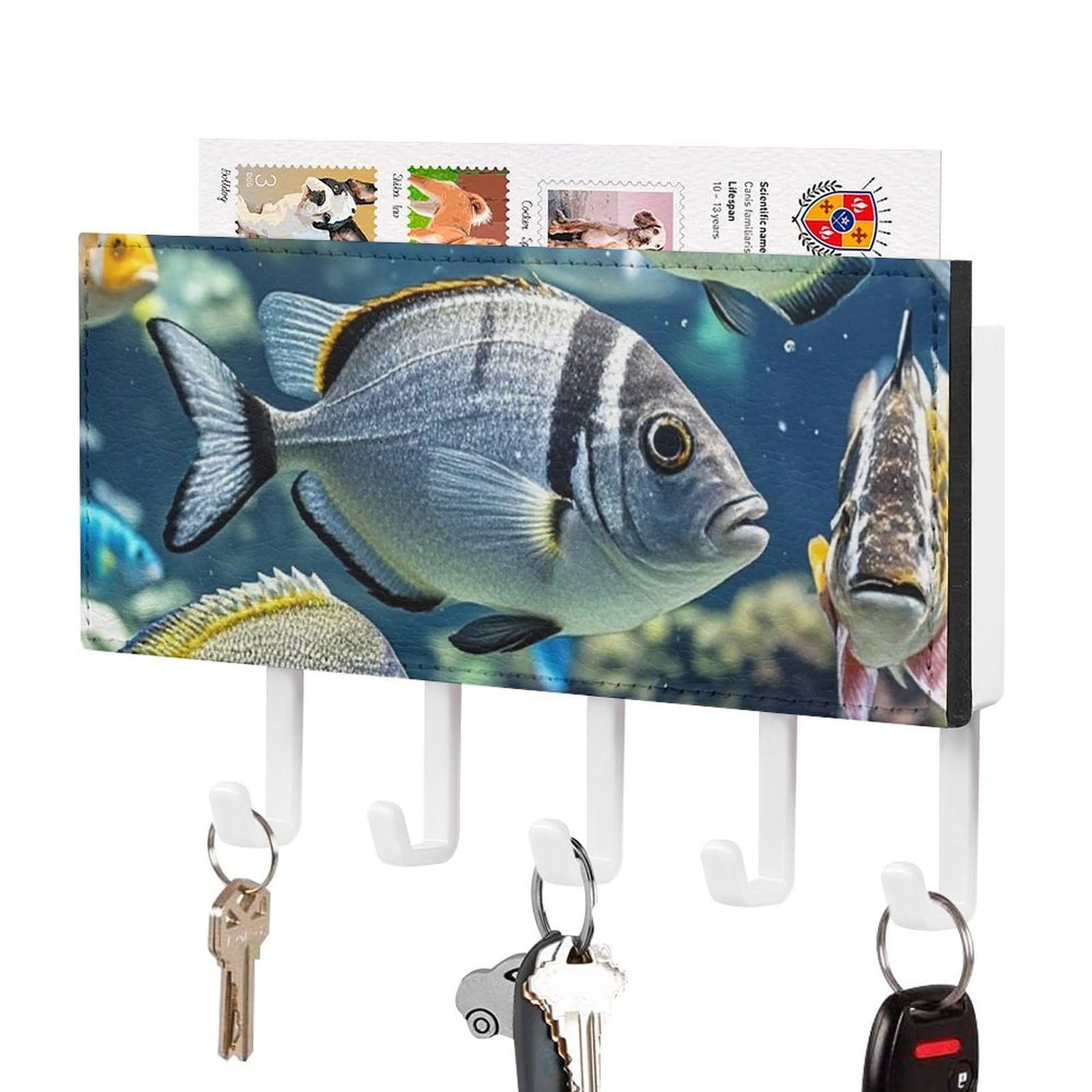 FekiLoot Different Fish Key Holder Wall Mount Key Hanger with 5 Hooks Decorative Key Rack Hanging Key Hooks with Mail Organizer Key Holder for Wall Living Room Kitchen Bathroom Hallway White