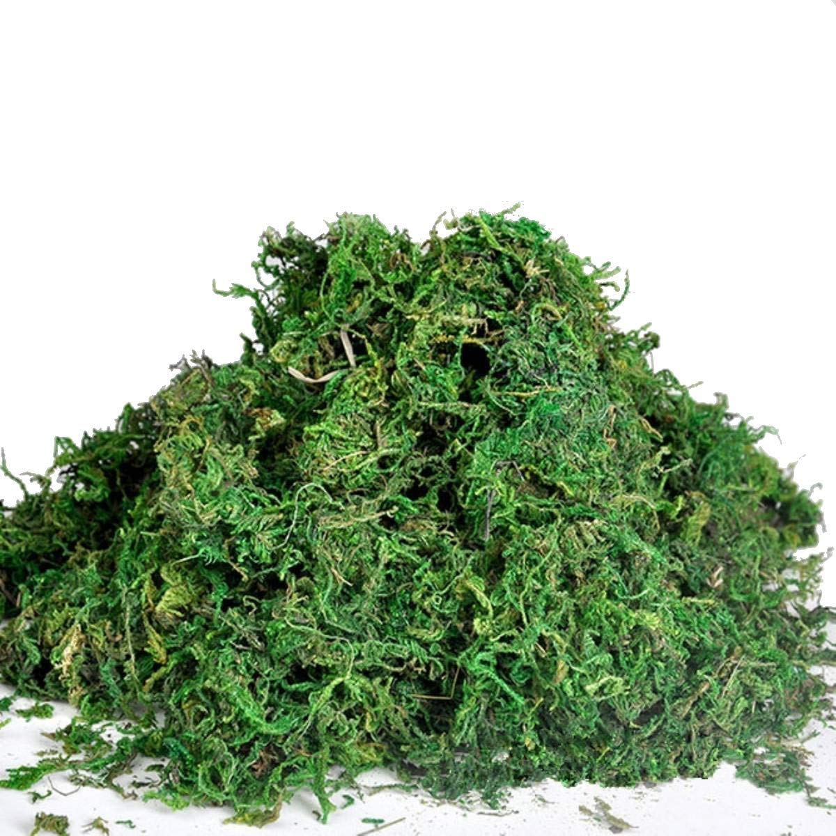 Best Artificial Reindeer Moss For Lining Plant Flower Garland Christmas Decor Trees (100g)