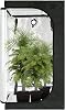 GA Grow Tent C Series 60 x 60 x 120 cm 2 x 2 Grow Tent Reflective Mylar Hydroponic Greenhouse Tent Waterproof Floor Tray for Indoor Plant Growing Black