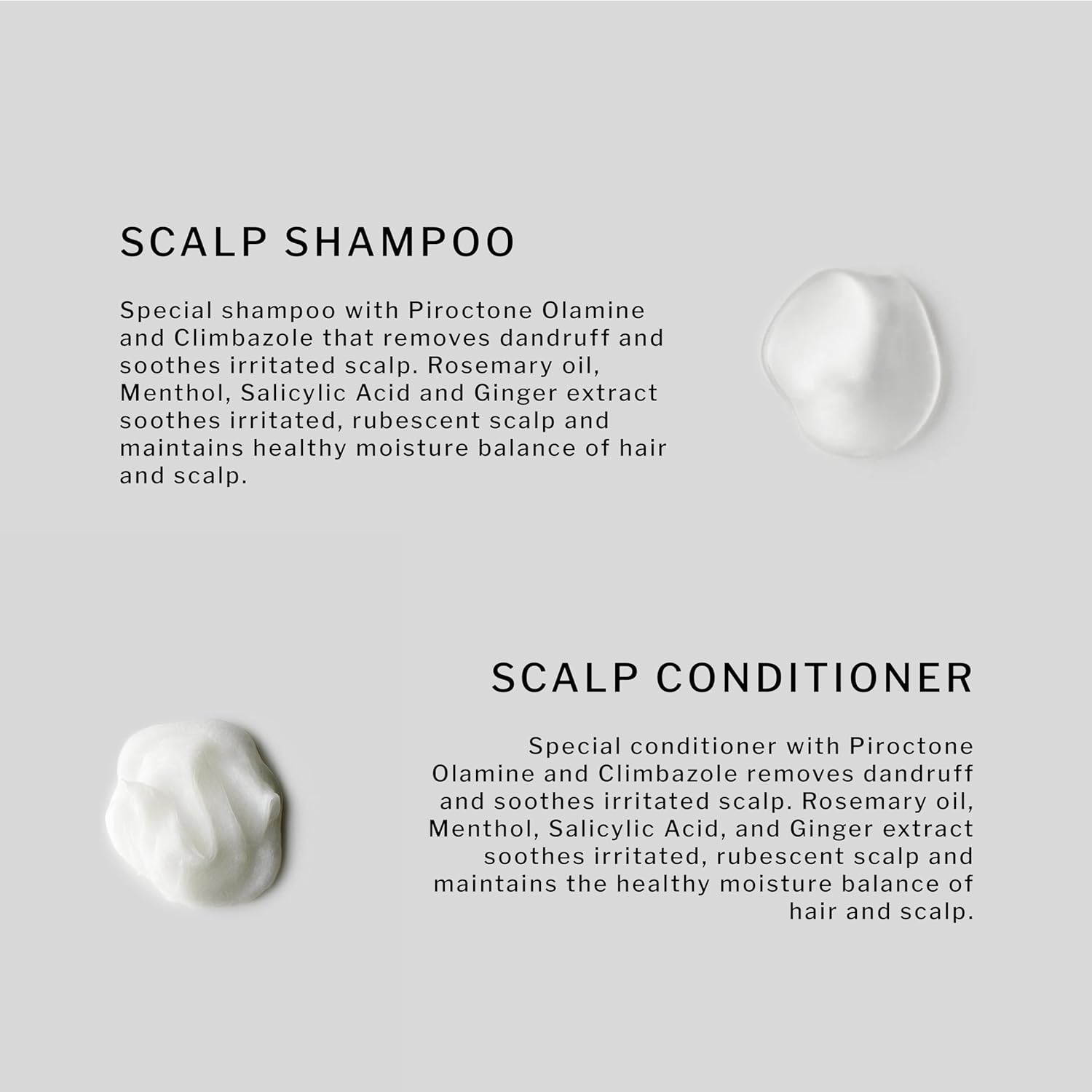 SACHAJUAN Scalp Shampoo and Conditioner Set | Rosemary Oil to Soothe, Balance & Hydrate Dry Flaky Scalp | Lightweight Hydration & Scalp Relief | Vegan & Paraben-Free | Pack of 2 (8.4 oz) - Image 2