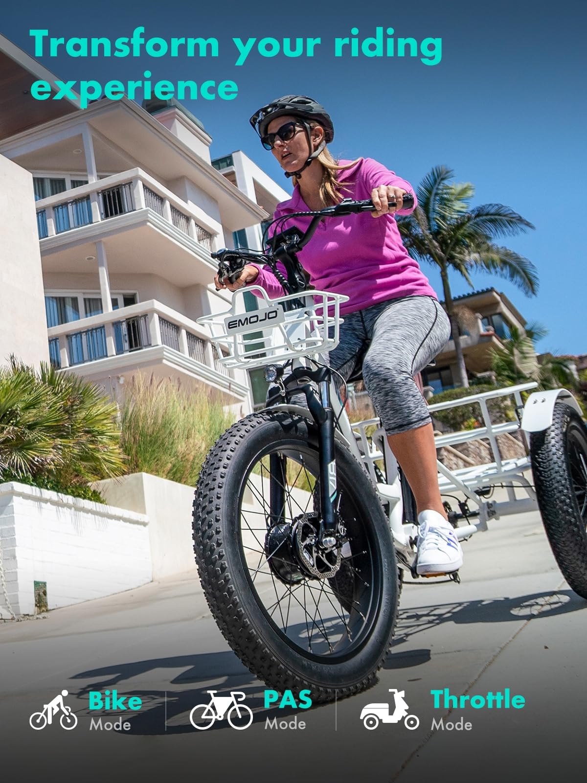 Emojo Electric Tricycle 20 X Inch Fat Tire Desertcart Seychelles