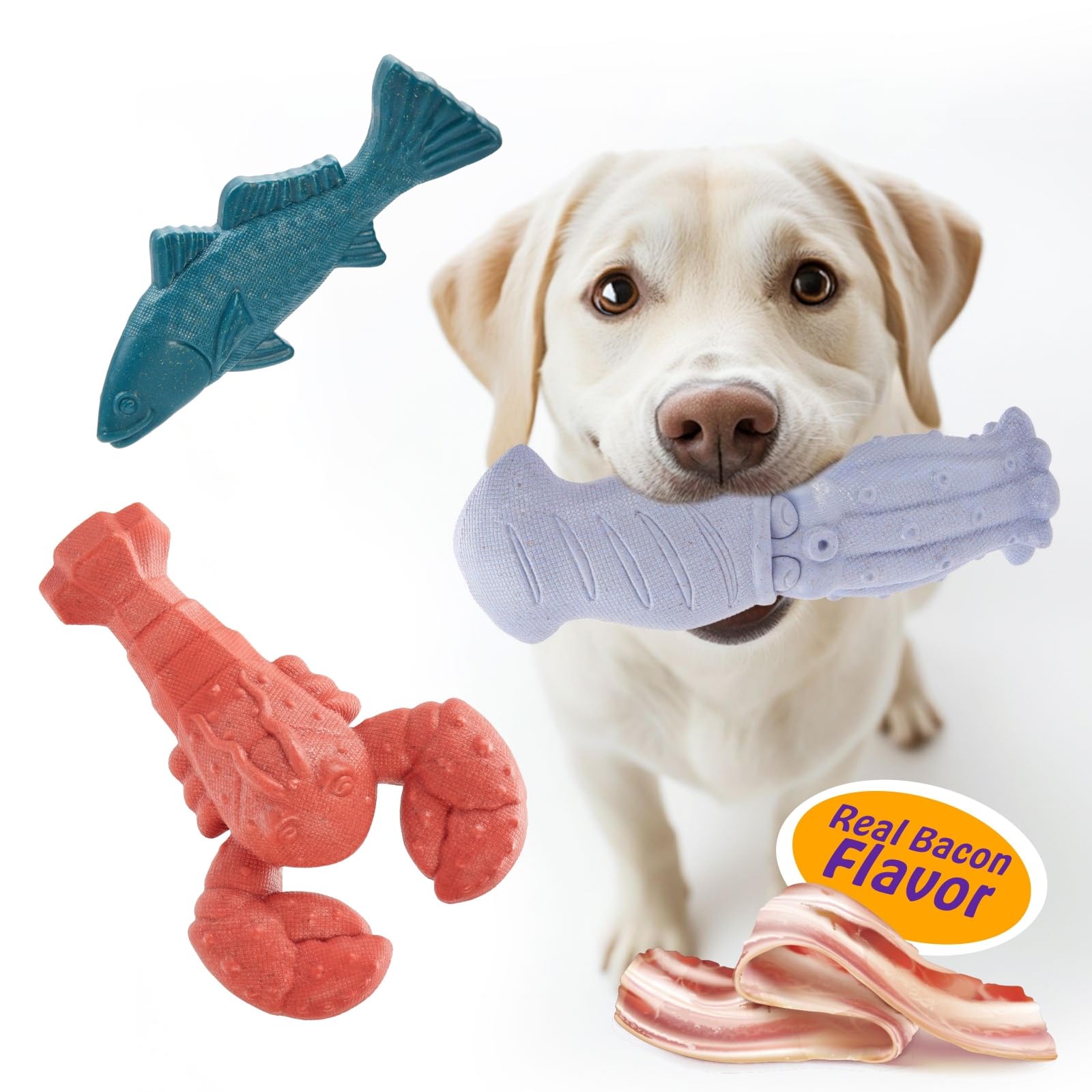 Kimee 3-Pack Ocean Themed Nylon